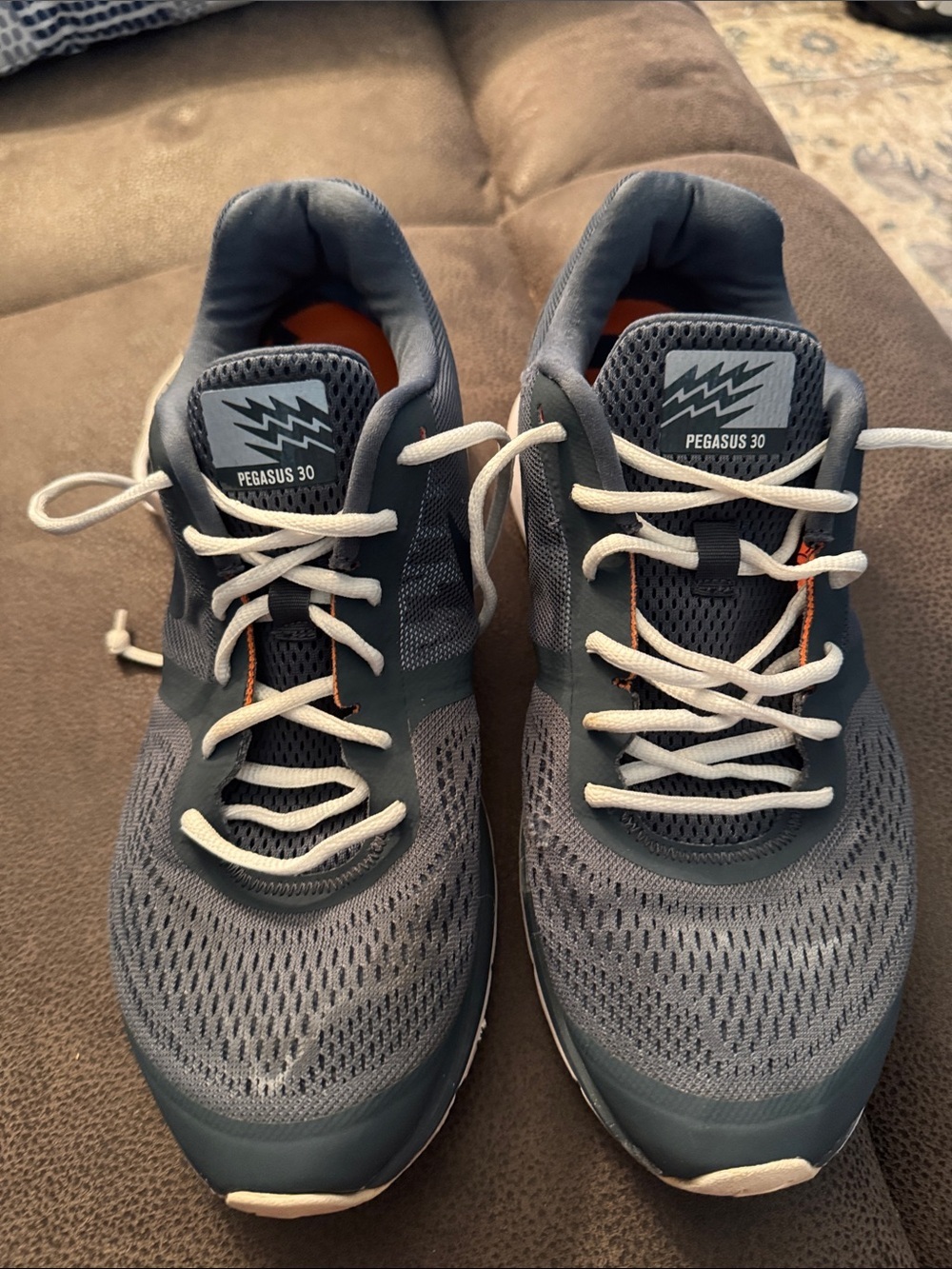 NIKE Air Pegasus+ 30 Limited Edition Sneakers - Size 11
